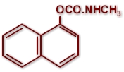 Molecular struture of carbaryl