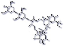 Ivermectin, the parasiticidal active ingredient most used in Animal Health