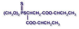 Molecular structure of MALATHION