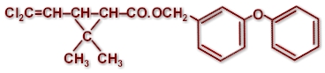 Molecular structure of PERMETHRIN