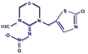 Molecular structure of thiametoxam