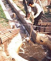 Bañadero de ovinos circular