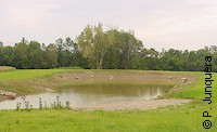 Watering ponds are ideal places for mosquito breeding