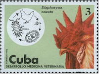 Sello dedicado a Acuaria spiralis = Diypharynx nasuta en Cuba en 1975. Imagen tomada de www.elbolivariano.net 