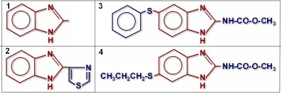 Estructura química de algunos benzimidazoles. 1: grupo común bezimidazol; 2: tiabendazol; 3: fenbendazol; 4: albendazol