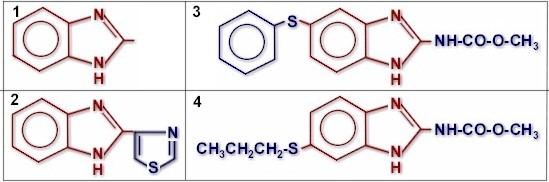 Chemical structure of some benzimidazoles: 1: common to all benzimidazoles. 2: thiabendazole. 3: fenbendazole; 4: albendazole