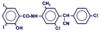 Molecular structure of closantel