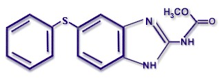 Molecular structure of FENBENDAZOLE