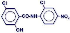 Molecular structure of NICLOSAMIDE