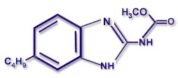 Fórmula molecular del parbendazol