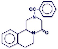 Mmolecular structure of praziquantel