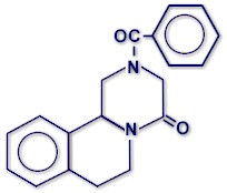 Fórmula molecular del praziquantel